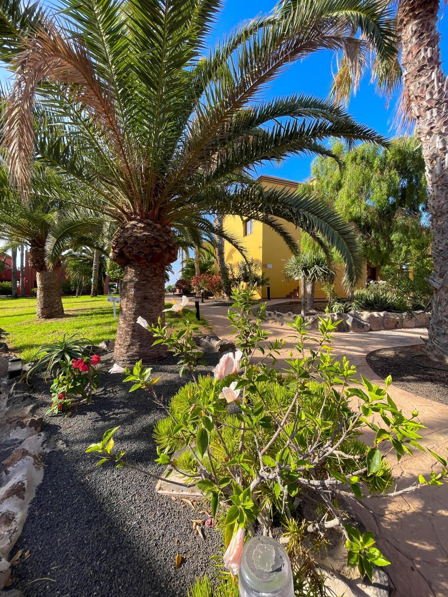 Karol Home By Best Holidays Fuerteventura Corralejo Exteriér fotografie